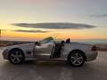 Mercedes-Benz SL 500 SL 500 Aut. Plateado - thumbnail 1