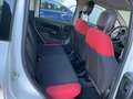 Fiat Panda 1.2 Pop 69cv 5 porte Neopatentati Weiß - thumbnail 14