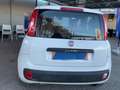 Fiat Panda 1.2 Pop 69cv 5 porte Neopatentati Weiß - thumbnail 7