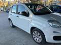 Fiat Panda 1.2 Pop 69cv 5 porte Neopatentati Weiß - thumbnail 3