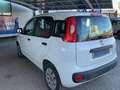 Fiat Panda 1.2 Pop 69cv 5 porte Neopatentati Weiß - thumbnail 6