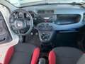 Fiat Panda 1.2 Pop 69cv 5 porte Neopatentati Weiß - thumbnail 12