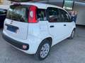 Fiat Panda 1.2 Pop 69cv 5 porte Neopatentati Weiß - thumbnail 8