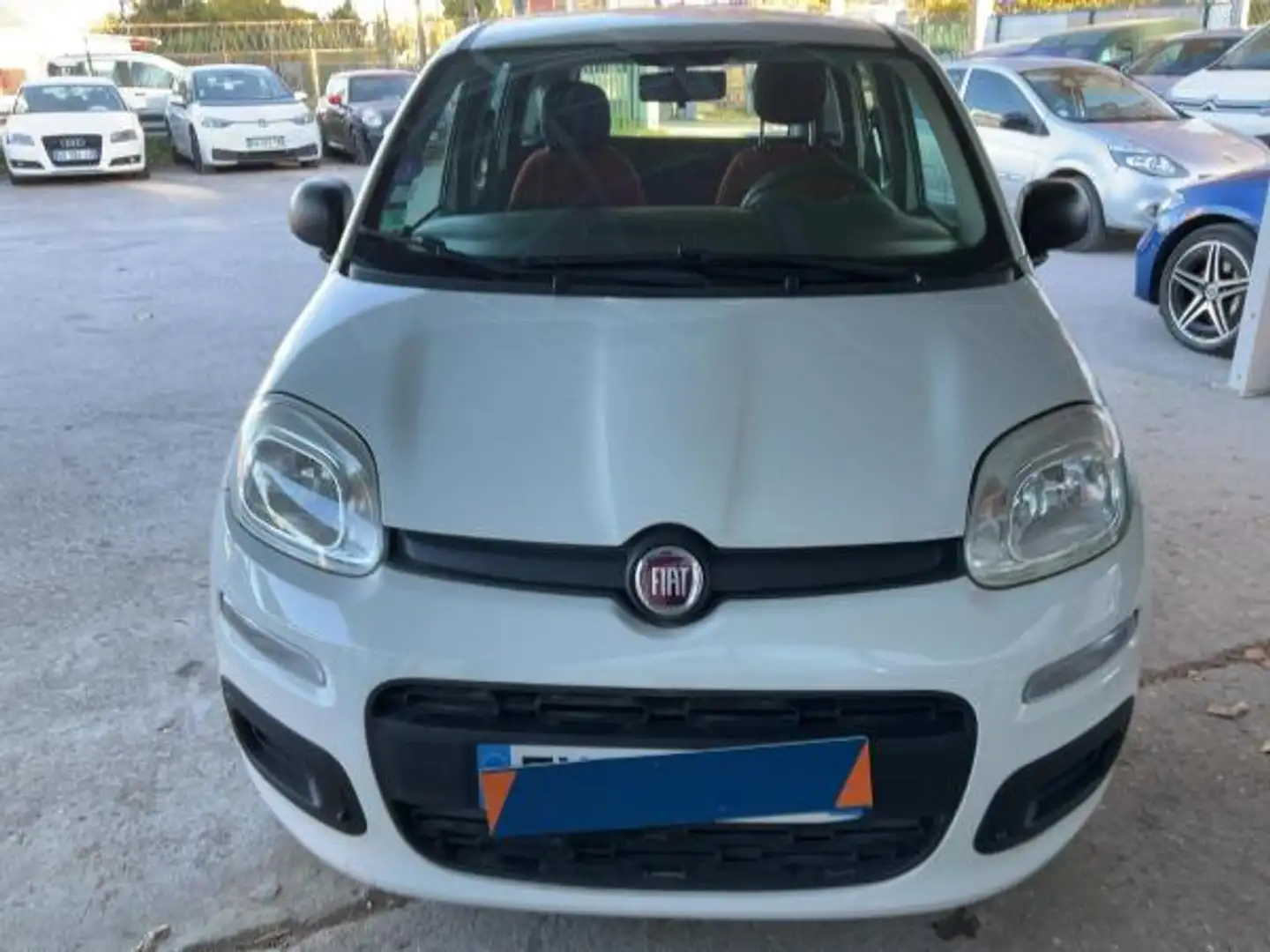 Fiat Panda 1.2 Pop 69cv 5 porte Neopatentati Weiß - 2