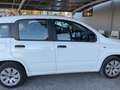 Fiat Panda 1.2 Pop 69cv 5 porte Neopatentati Weiß - thumbnail 4