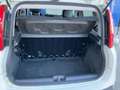 Fiat Panda 1.2 Pop 69cv 5 porte Neopatentati Weiß - thumbnail 15