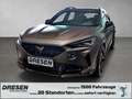 CUPRA Formentor CUPRA VZ5 Century Bronze Matt Edition 2.5 TSI 4 Dr Gold - thumbnail 1