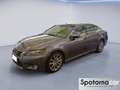 Lexus GS 250 GS Hybrid Executive Gris - thumbnail 1
