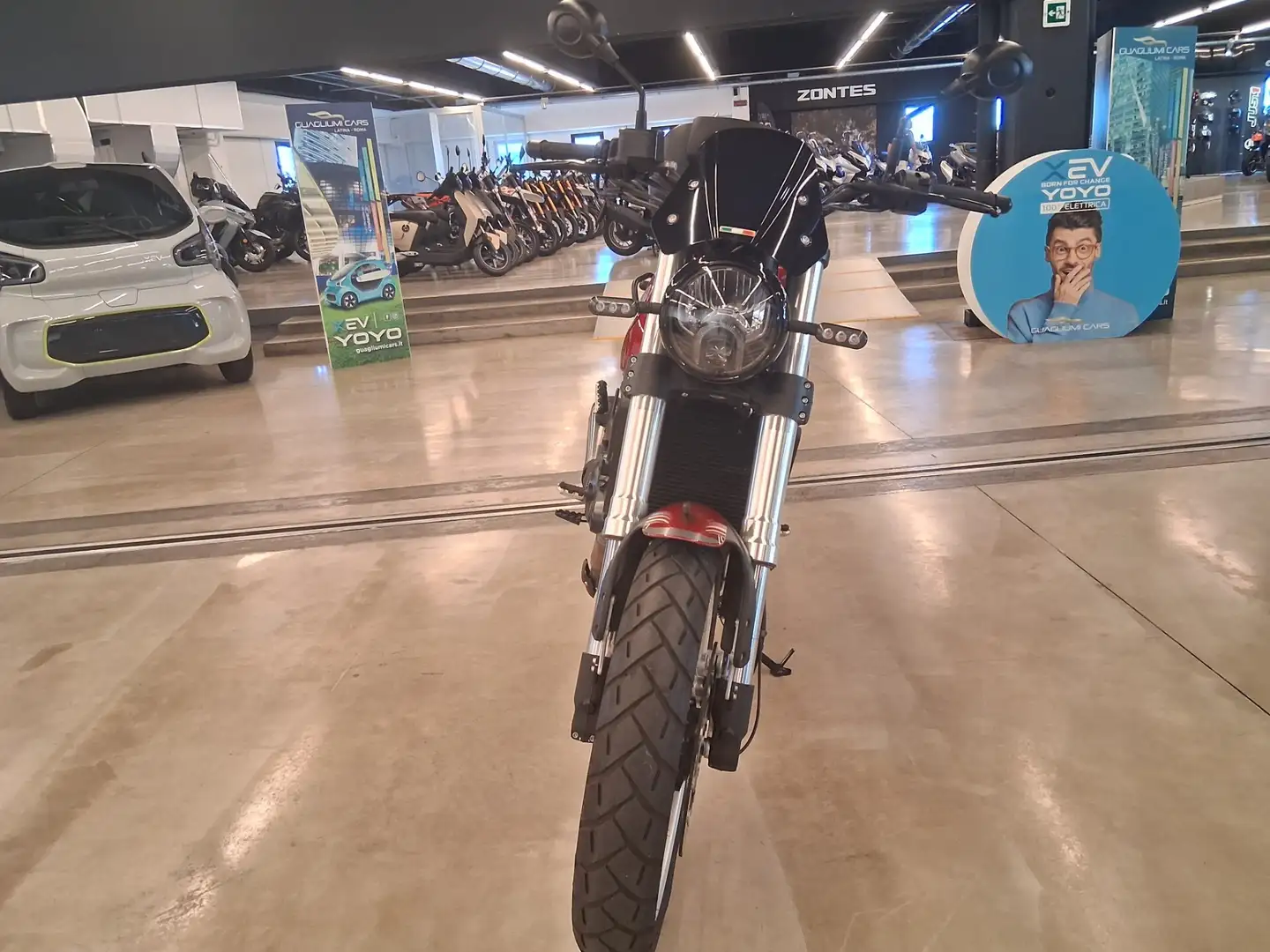 Benelli Leoncino Rosso - 2