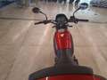 Benelli Leoncino Rosso - thumbnail 3
