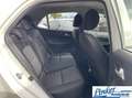 Kia Picanto 1.0 DPi DynamicLine - NL-AUTO APPLE CARPLAY CAMERA Blanc - thumbnail 22