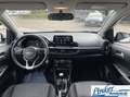Kia Picanto 1.0 DPi DynamicLine - NL-AUTO APPLE CARPLAY CAMERA Blanc - thumbnail 19