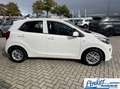 Kia Picanto 1.0 DPi DynamicLine - NL-AUTO APPLE CARPLAY CAMERA Blanc - thumbnail 4