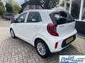 Kia Picanto 1.0 DPi DynamicLine - NL-AUTO APPLE CARPLAY CAMERA Blanc - thumbnail 7
