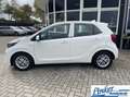 Kia Picanto 1.0 DPi DynamicLine - NL-AUTO APPLE CARPLAY CAMERA Blanc - thumbnail 8