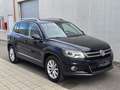 Volkswagen Tiguan Lounge *1.Besitz *LED *AHK *SOS *360° *Pickerl NEU Schwarz - thumbnail 3