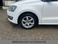 Volkswagen Polo V Trendline*2.HAND*KLIMA*TÜV/AU NEU*GARANTI Weiß - thumbnail 18