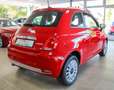 Fiat 500 1.0 Mild-Hybrid Dolcevita Pano CarPlay 1.Hd Rouge - thumbnail 8