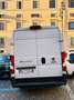 Fiat Ducato - thumbnail 2
