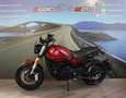 Benelli Leoncino 500 - 2022 - km 6669 Rosso - thumbnail 3
