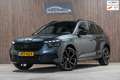 Skoda Kamiq 1.0 TSI Business Edition DSG Gris - thumbnail 1