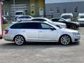 Skoda Octavia RS Grau - thumbnail 6
