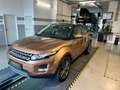 Land Rover Range Rover Evoque Pure Tech 2,2 TD4*2.Hand*TOP*AHV*Sansibar*BiXenon* Bronze - thumbnail 2
