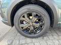 Dacia Sandero Stepway TCe 100 ECO-G Extreme+ Grün - thumbnail 15