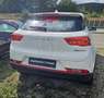 DFSK Fengon 500 1.5 CVT Automatik Comfort*WKR-LM Weiß - thumbnail 13