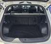 DFSK Fengon 500 1.5 CVT Automatik Comfort*WKR-LM Weiß - thumbnail 14