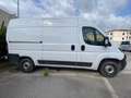 Fiat Ducato serie 8 furgone lastrato 33q mh2 160cv 2.2 multij Blanc - thumbnail 10