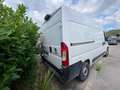 Fiat Ducato serie 8 furgone lastrato 33q mh2 160cv 2.2 multij Blanc - thumbnail 3