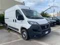 Fiat Ducato serie 8 furgone lastrato 33q mh2 160cv 2.2 multij Blanc - thumbnail 2