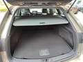 Toyota Corolla Touring Sports 1.8 Hybrid ACTIVE LM-VELGEN AD-CRUI Vert - thumbnail 26