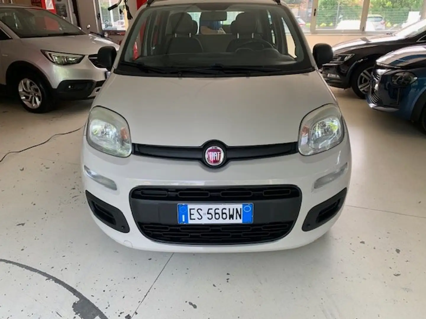 Fiat Panda PANDA 1.2 POP 69 CV OK NEO PATENTATI . Beige - 2