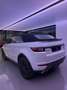 Land Rover Range Rover Evoque Convertible 2.0TD4 SE Dynamic 4WD 150 Aut Blanco - thumbnail 4