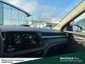 Skoda Fabia Selection sofort verfügbar Gris - thumbnail 21