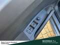 Skoda Fabia Selection sofort verfügbar Gris - thumbnail 12