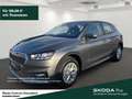 Skoda Fabia Selection sofort verfügbar Gris - thumbnail 1
