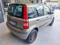 Fiat Panda 1.2 Climbing Natural Power Bronzo - thumbnail 6