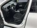 Mercedes-Benz EQA 250 EQA 250 AMG 360 Kamera KeylGo 18 Zoll LED AMG Line Alb - thumbnail 13