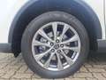 Toyota RAV 4 2.5 Hybrid Executive 4X4 Memory,360 Grad Kamera, E Weiß - thumbnail 6