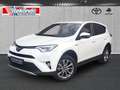 Toyota RAV 4 2.5 Hybrid Executive 4X4 Memory,360 Grad Kamera, E Weiß - thumbnail 1