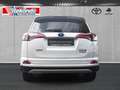 Toyota RAV 4 2.5 Hybrid Executive 4X4 Memory,360 Grad Kamera, E Weiß - thumbnail 5