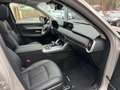 Mazda CX-60 M-Hybrid Homura 254PS - Pano, Allrad, Bose, Matrix Beige - thumbnail 6