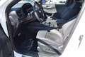 Ford Kuga PHEV Plug-In ST-Line X Vollausstattung Weiß - thumbnail 8