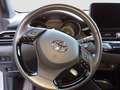 Toyota C-HR Toyota C-HR Grau - thumbnail 6
