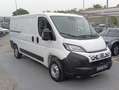 Fiat Ducato 30 2.2 Mjt 120CV L2 H1 PM-TN Furgone Bianco - thumbnail 3