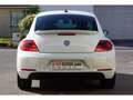 Volkswagen Coccinelle COCCINELLE SPORT 1.4 TSI 150cv BVM6 CUP 18\u0027\u Blanc - thumbnail 6
