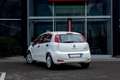 Fiat Punto 5 Porte 1.3 Multijet 16v 75cv Young 1117147 Biały - thumbnail 2